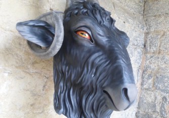 bizkarbaltza-aitor-calleja